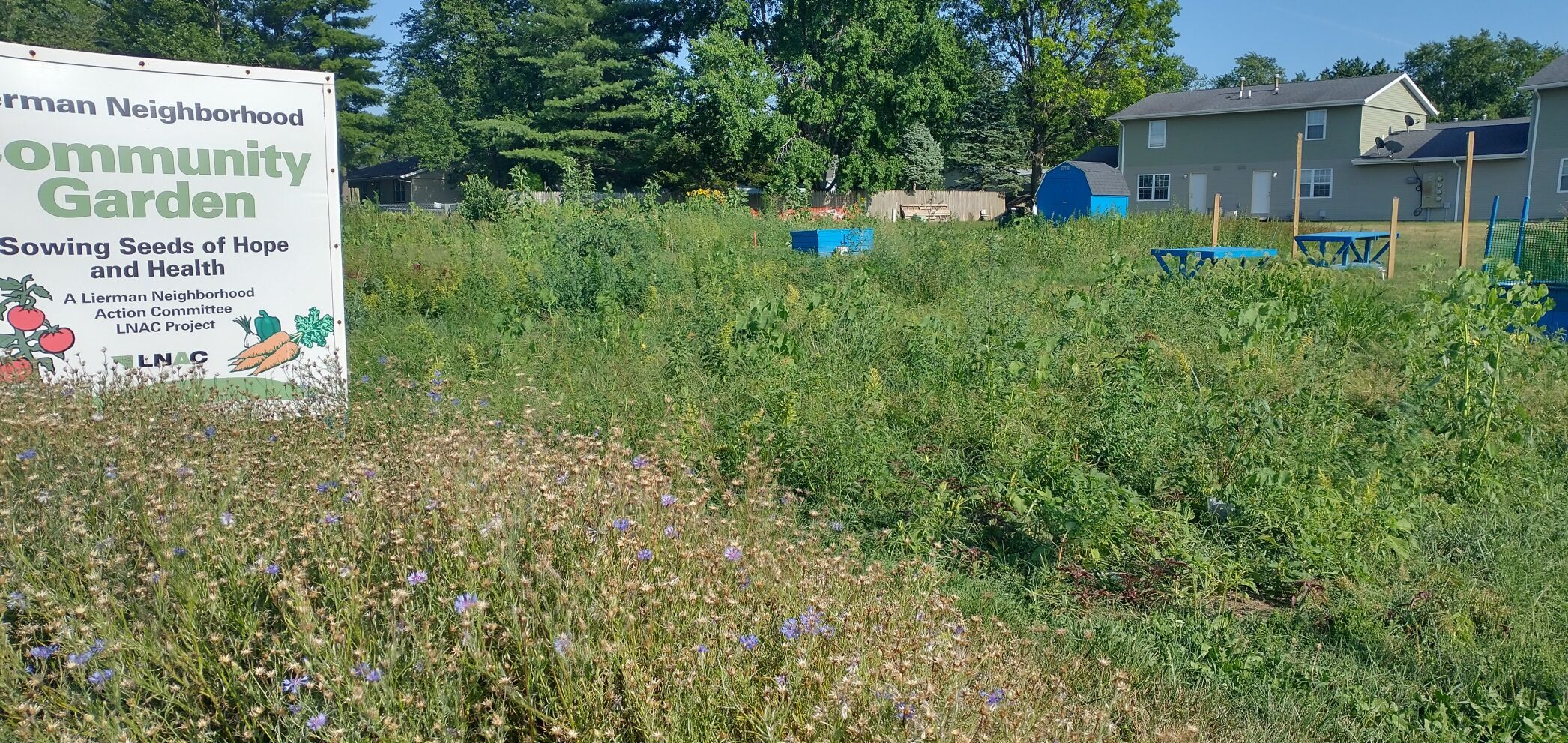 07232022 BAGgarden.jpg